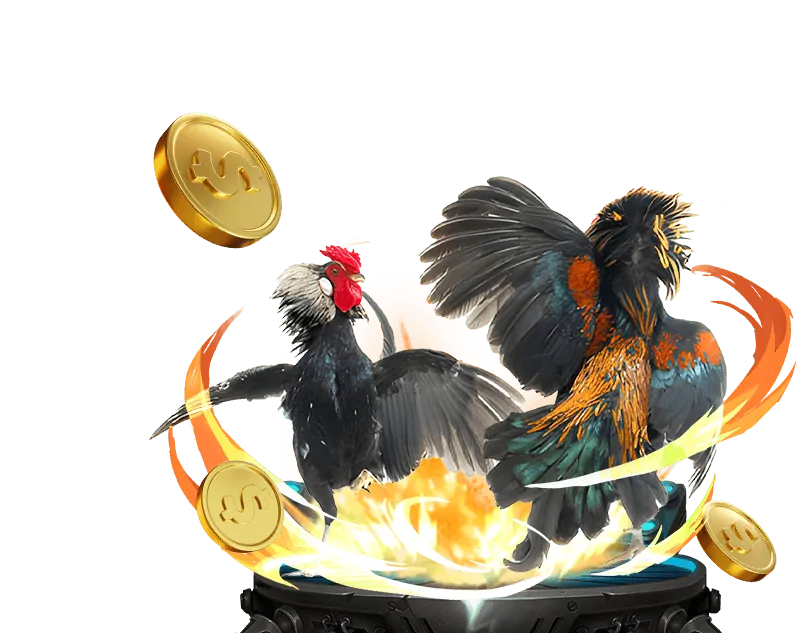 Hoàn trả thể thao Zubet